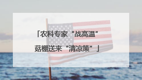 农科专家“战高温” 菇棚送来“清凉策”
