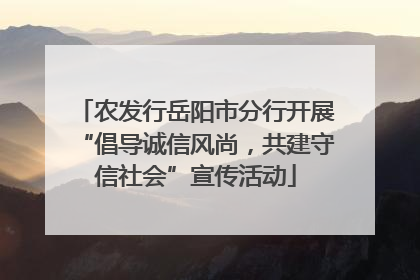 农发行岳阳市分行开展“倡导诚信风尚，共建守信社会”宣传活动