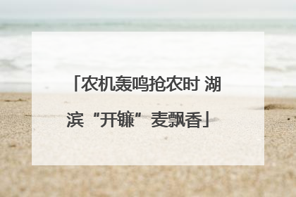 农机轰鸣抢农时 湖滨“开镰”麦飘香