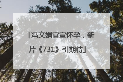 冯文娟官宣怀孕，新片《731》引期待