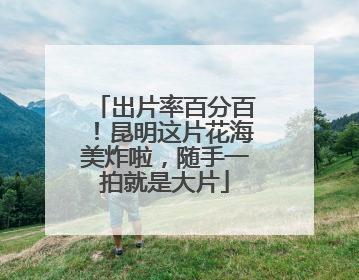 出片率百分百！昆明这片花海美炸啦，随手一拍就是大片