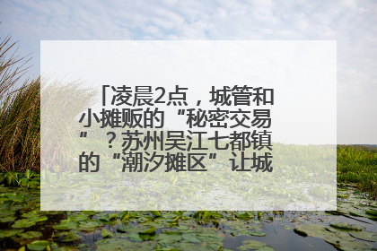凌晨2点，城管和小摊贩的“秘密交易”？苏州吴江七都镇的“潮汐摊区”让城市管理有了人情味