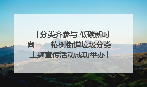 分类齐参与 低碳新时尚——椿树街道垃圾分类主题宣传活动成功举办