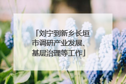 刘宁到新乡长垣市调研产业发展、基层治理等工作