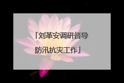 刘革安调研督导防汛抗灾工作