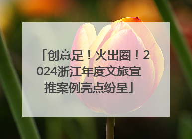 创意足！火出圈！2024浙江年度文旅宣推案例亮点纷呈