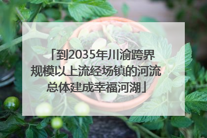 到2035年川渝跨界规模以上流经场镇的河流总体建成幸福河湖