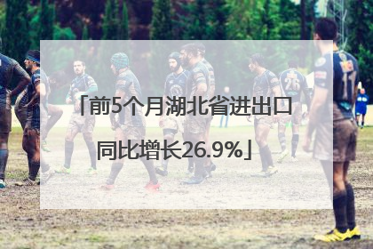 前5个月湖北省进出口同比增长26.9%