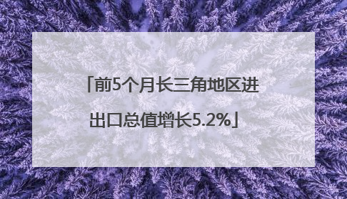 前5个月长三角地区进出口总值增长5.2%