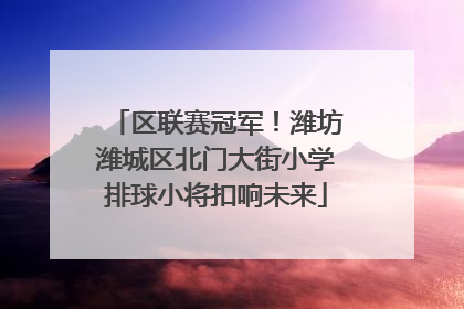 区联赛冠军！潍坊潍城区北门大街小学排球小将扣响未来