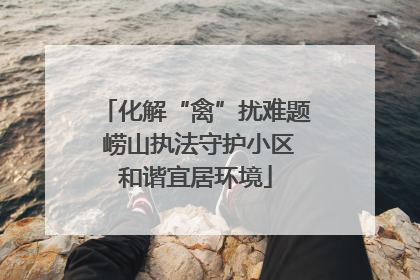 化解“禽”扰难题 崂山执法守护小区和谐宜居环境