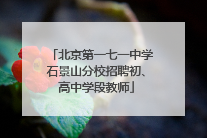 北京第一七一中学石景山分校招聘初、高中学段教师