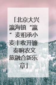 北京大兴瀛海镇“瀛”麦相承小麦丰收开镰 奏响农文旅融合新乐章