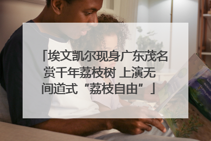埃文凯尔现身广东茂名 赏千年荔枝树 上演无间道式“荔枝自由”