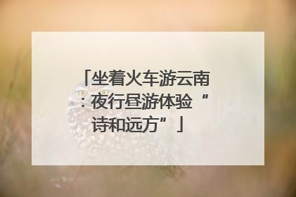 坐着火车游云南：夜行昼游体验“诗和远方”