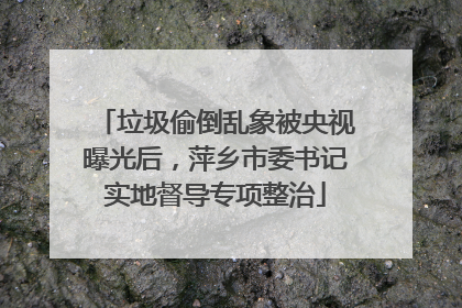 垃圾偷倒乱象被央视曝光后，萍乡市委书记实地督导专项整治