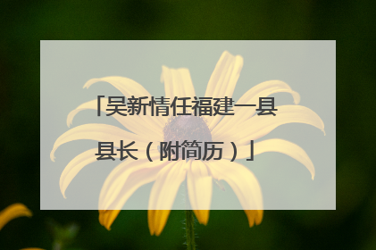 吴新情任福建一县县长（附简历）
