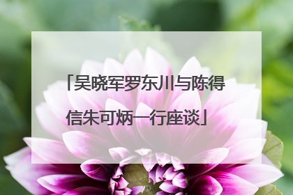 吴晓军罗东川与陈得信朱可炳一行座谈
