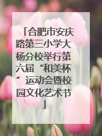 合肥市安庆路第三小学大杨分校举行第六届“和美杯”运动会暨校园文化艺术节