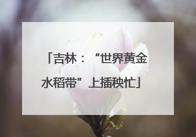 吉林：“世界黄金水稻带”上插秧忙