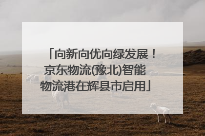 向新向优向绿发展！京东物流(豫北)智能物流港在辉县市启用