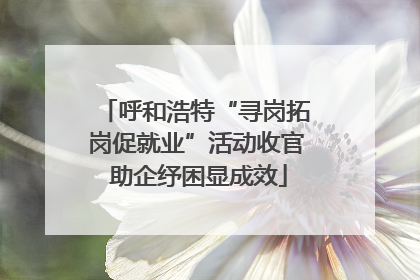 呼和浩特“寻岗拓岗促就业”活动收官 助企纾困显成效