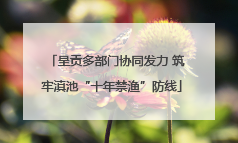 呈贡多部门协同发力 筑牢滇池“十年禁渔”防线