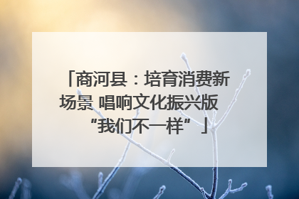 商河县：培育消费新场景 唱响文化振兴版“我们不一样”