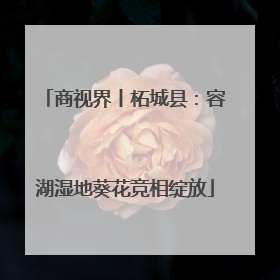 商视界丨柘城县：容湖湿地葵花竞相绽放