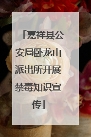 嘉祥县公安局卧龙山派出所开展禁毒知识宣传