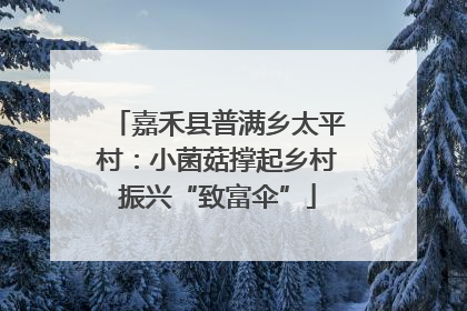 嘉禾县普满乡太平村：小菌菇撑起乡村振兴“致富伞”