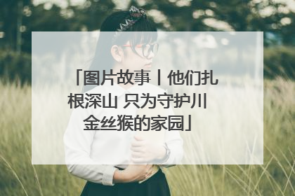 图片故事丨他们扎根深山 只为守护川金丝猴的家园