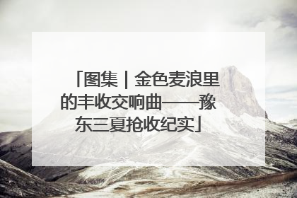 图集｜金色麦浪里的丰收交响曲——豫东三夏抢收纪实