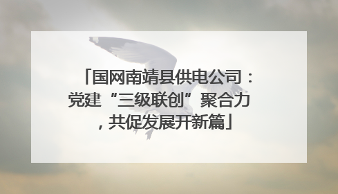 国网南靖县供电公司：党建“三级联创”聚合力，共促发展开新篇