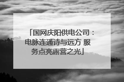 国网庆阳供电公司：电脉连通诗与远方 服务点亮露营之光