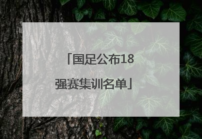 国足公布18强赛集训名单