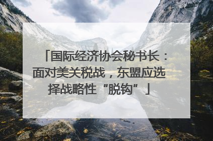 国际经济协会秘书长：面对美关税战，东盟应选择战略性“脱钩”