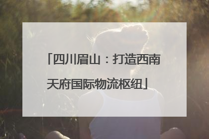 四川眉山：打造西南天府国际物流枢纽