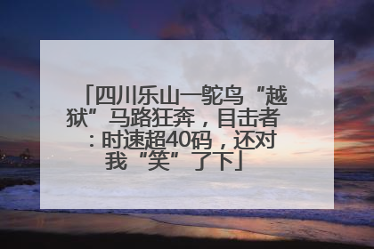 四川乐山一鸵鸟“越狱”马路狂奔，目击者：时速超40码，还对我“笑”了下