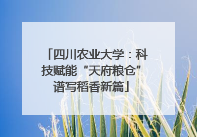 四川农业大学：科技赋能“天府粮仓”谱写稻香新篇