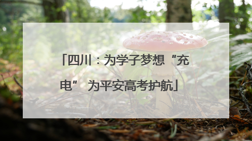 四川：为学子梦想“充电” 为平安高考护航