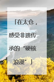 在太仓，感受非遗传承的“硬核浪漫”