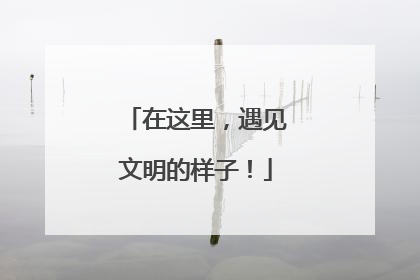 在这里，遇见文明的样子！