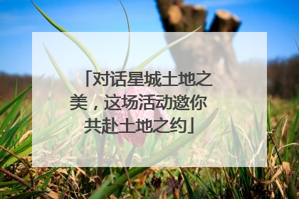 对话星城土地之美，这场活动邀你共赴土地之约