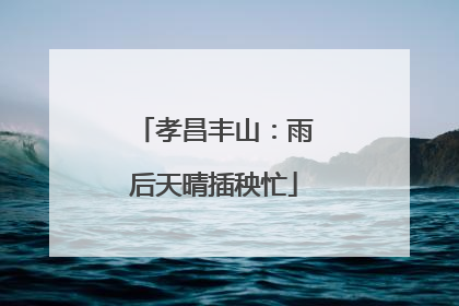 孝昌丰山：雨后天晴插秧忙