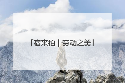宿来拍｜劳动之美