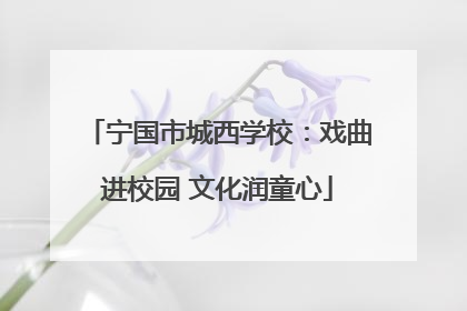 宁国市城西学校：戏曲进校园 文化润童心