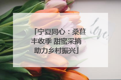 宁夏同心：桑葚丰收季 甜蜜采摘助力乡村振兴