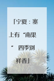 宁夏：塞上有“南果” 四季别样香