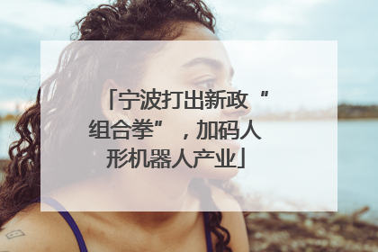 宁波打出新政“组合拳”，加码人形机器人产业